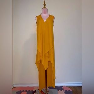 BCBG tunic/dress